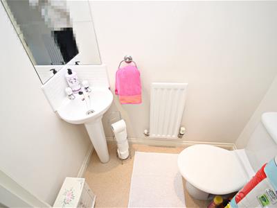 Picture 17